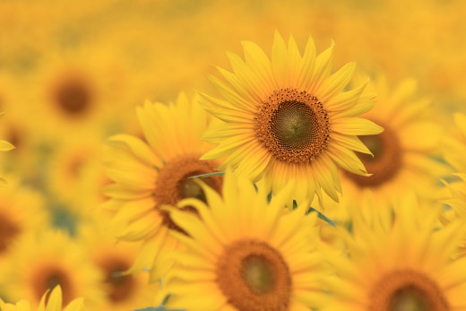 776778 (a): :2700x1800
